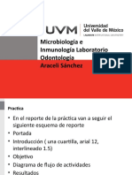Micro e Inmuno Practica 1 Bioseguridad