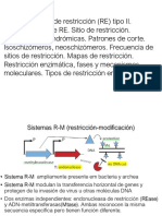 Sistemas R-M y endonucleasas de restricción tipo II