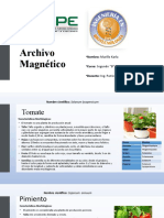 Archivo Magnético - MurilloKarla