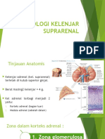 Kelenjar Adrenal