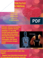 Anatomi Fisiologi Kelenjar Adrenal