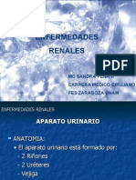 ENFERMEDADES RENALES - 2 (FILEminimizer)