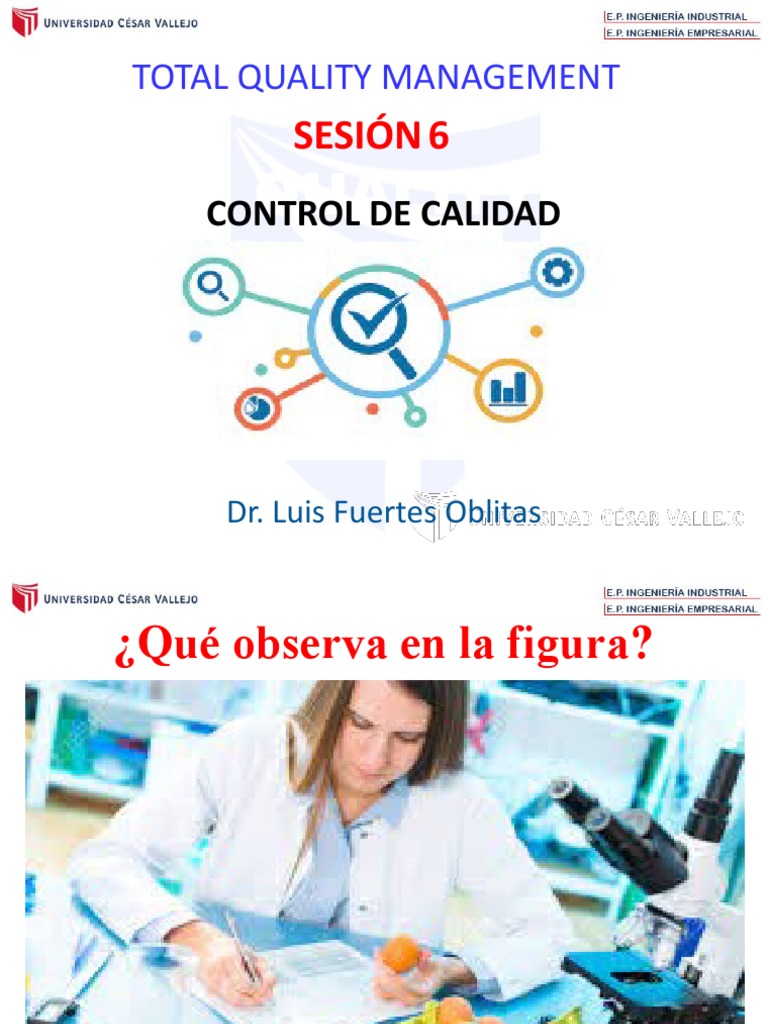 Control de Calidad en la Gestión Total | PDF | Calidad (comercial ...