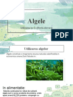 Algele