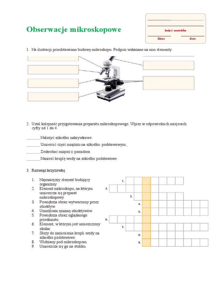 Dlaczego Obserwacje Mikroskopowe Zaczynamy Od Najmniejszego Powiekszenia Karta Pracy Obserwacje Mikroskopowe | PDF