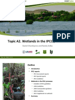 Topic A2. Wetlands in The IPCC Processes: Daniel Murdiyarso and Randy Kolka