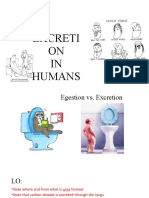 Excretion in Humans