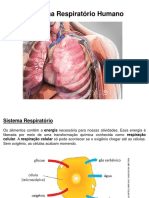 Sistema Respiratrio MODELO