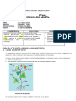 Guia Organologia Vegetal - Biologia 3er Año