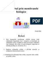 Transportul Prin Membranele Biologice