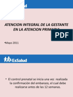 Atencion Integral Del La Gestante en La Atencion Primaria Lic. Flor Agurto