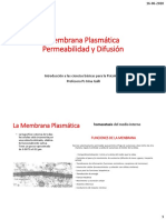 (AP) La Permeabilidad de Membrana Plasmática