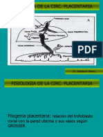 05 - Fisiologia de La Circulacion Placentaria