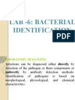 Lab - 6: Bacterial Identification