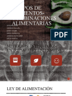 GRUPOS DE ALIMENTOS-Combinaciones Alimentarias