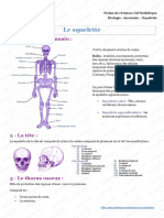 CAP-Bac-Pro-BTS-Esthetique-Biologie-Anatomie-Squelette anatomie