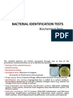 Biochemical Test