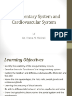 L3 Integumentary System and Cardiovascular System