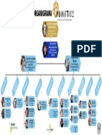 Organigrama Actual PUMATICs