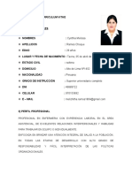 Curriculum Vitae - Lic .Enf. Cynthia Ramos Choque.