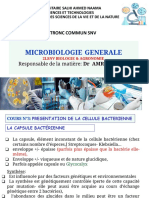 Microbiologie - LSNV2A