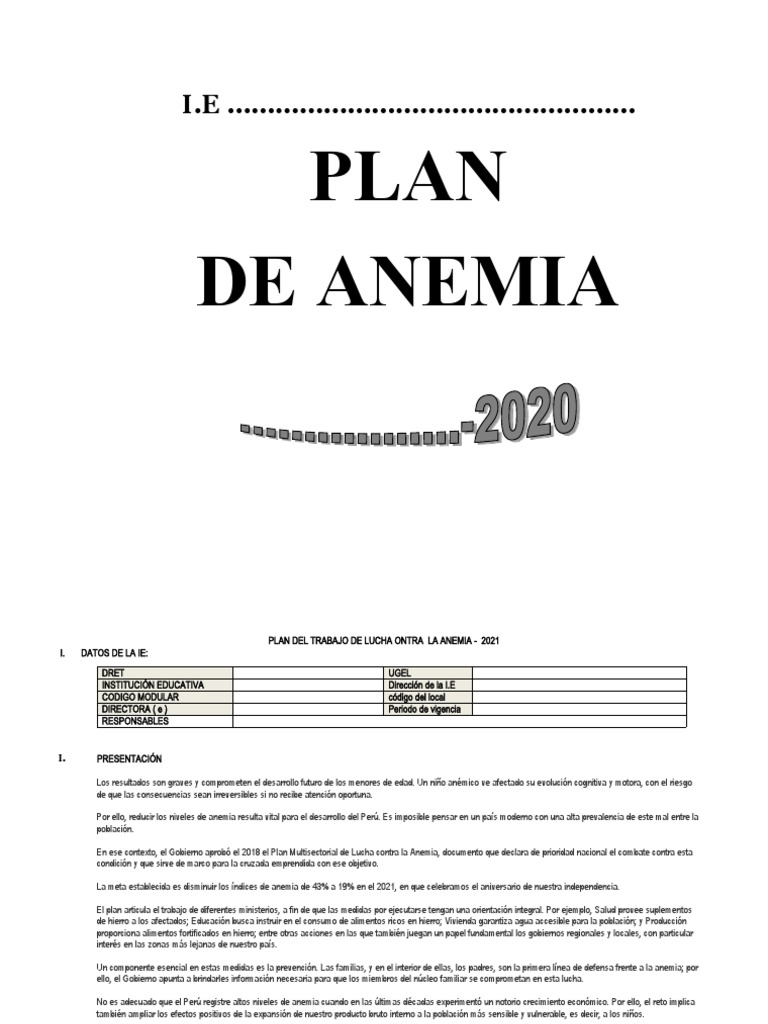 Plan de Trabajo contra la Anemia 2021 | PDF | Violación | Perú