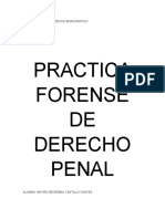 Tema 1 Practica Forense de Derecho Penal