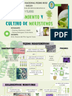 Aislamiento y Cultivo de Meristemas