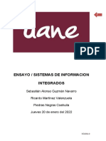 Ensayo / Sistemas de Informacion Integrados