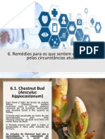 6. Remédios Para Os Que Sentem Desinteresse Pelas Circunstâncias Atuais.pptx