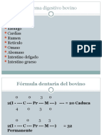 Anatomia 1° año  unidad 2 digestivo agricultura ecologica