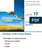 The Urinary System: Prepared by Patty Bostwick-Taylor, Florence-Darlington Technical College