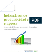 Indicadores de Productividad en Las Empresas. (Texto 2022)