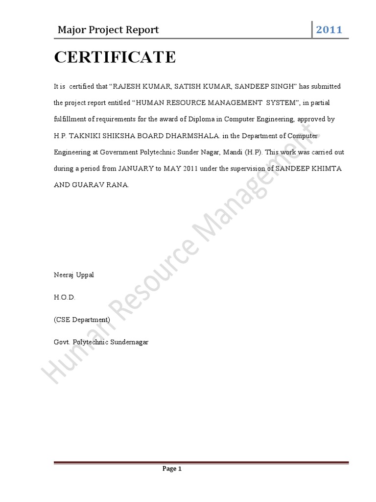 Major Project Report | PDF | Computing | Feasibility Study