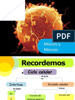 Meiosis y Mitosis