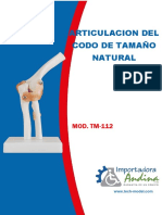 ARTICULACION DEL CODO DE TAMAÑO NATURAL – TM-112 – TECH-MODEL