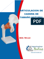 Articulacion de Cadera de Tamaño Natural – Tm-110 – Tech-model