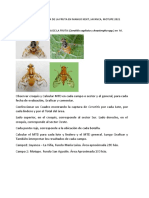 Tarea 2 Calculo de MTD