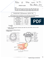 Tugas Bio