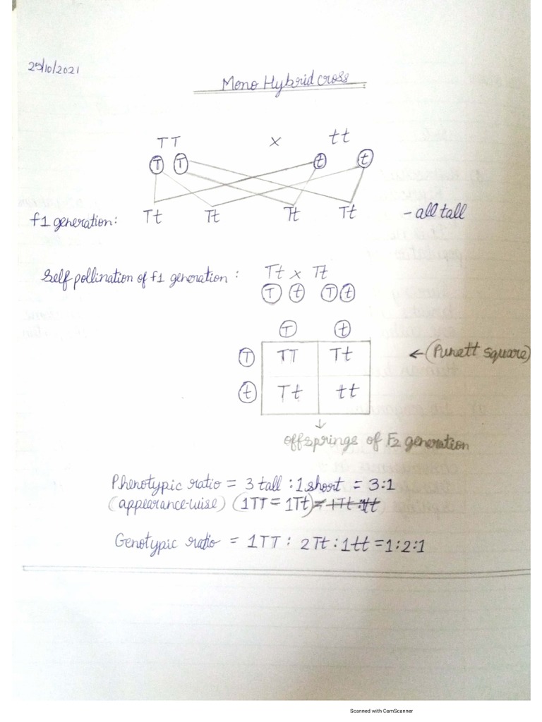 monohybrid-and-dihybrid-crosses-pdf