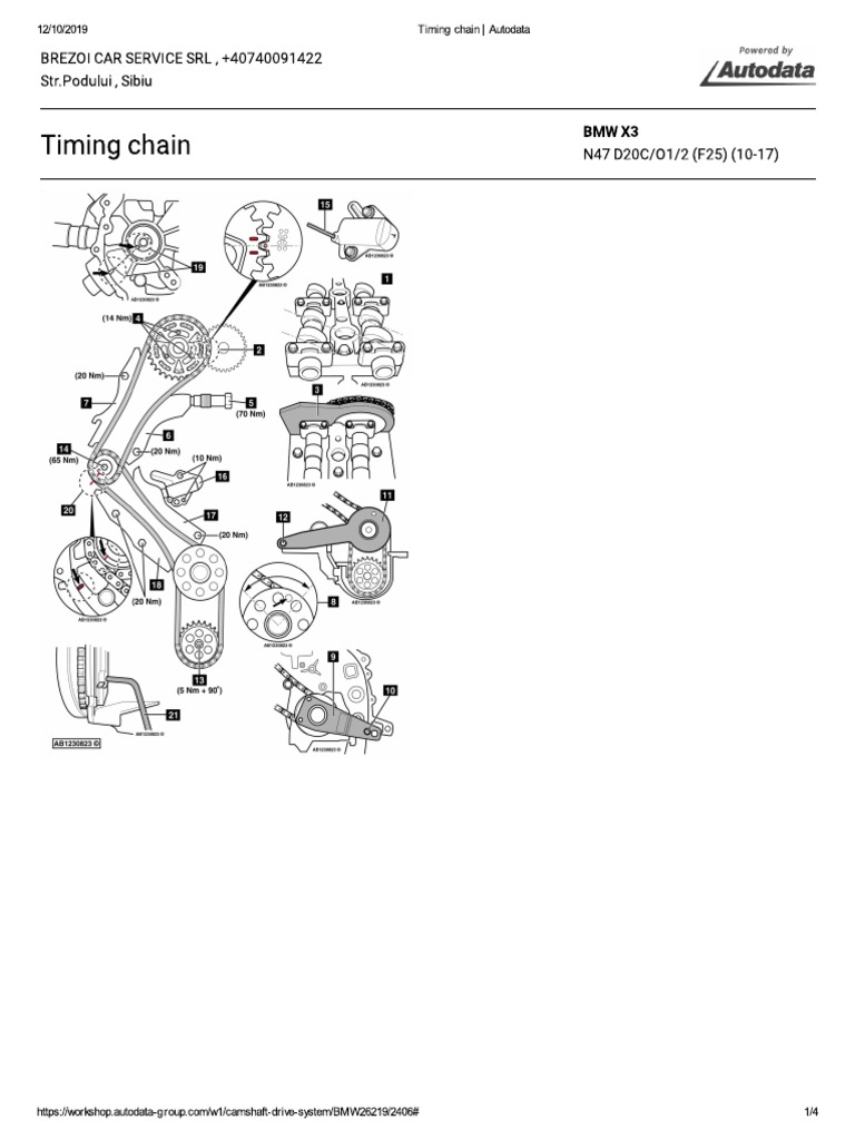 Timing Chain - Autodata | PDF