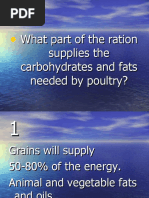 What Part of The Ration Supplies The Carbohydrates and Fats Needed by Poultry?