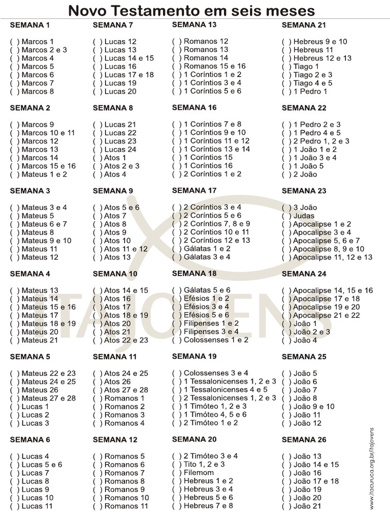 Plano de Leitura Novo Testamento em 6 Meses | PDF