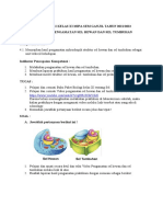 LKPD PJJ 02 Praktikum Pengamatan Sel Hewan Dan Sel Tumbuhan