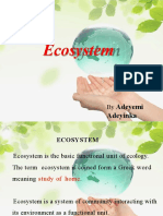 Ecosystem: Adeyemi Adeyinka