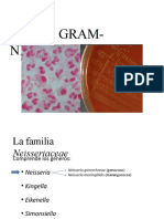 Cocos Gram-Negativos 3