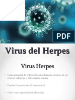 Clase Herpesvirus