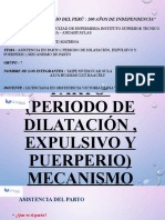 Asistencia Del Parto (Periodo de Dilatacion Expulsivo y Puerperio)