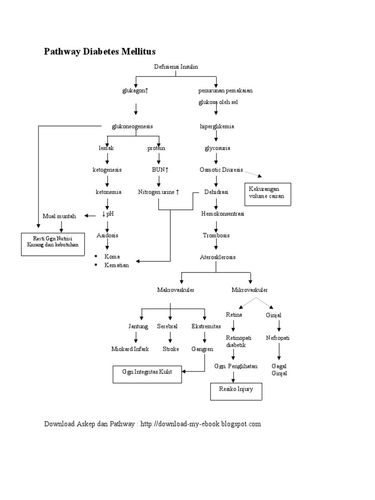 Pathway Diabetes Mellitus | PDF