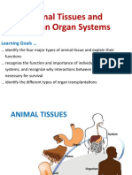 7 Animal Tissues Human Organ Systems Intro